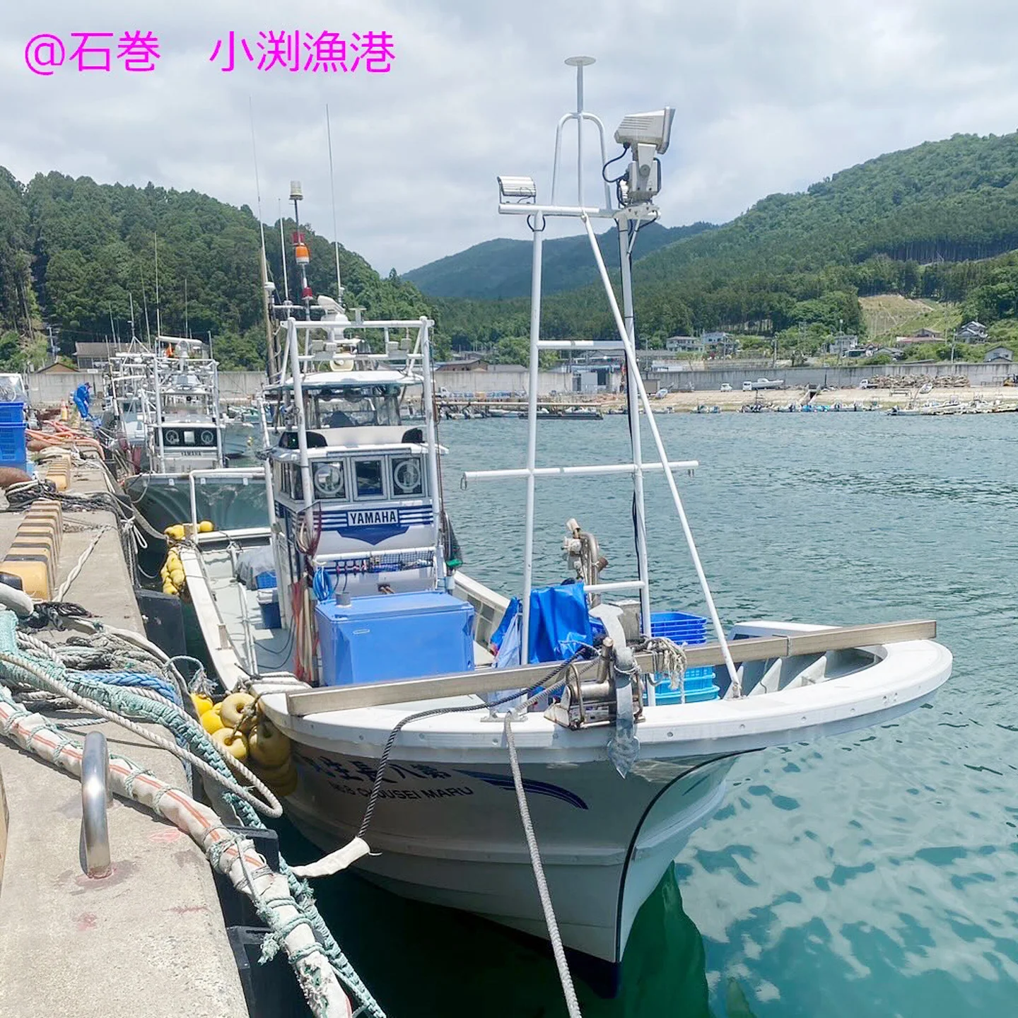 64_01.webp