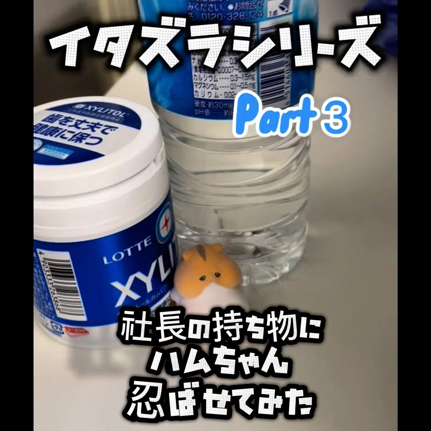 77_01.webp